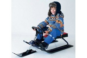 Снегокаты - персональное транспортное средство для самых маленьких