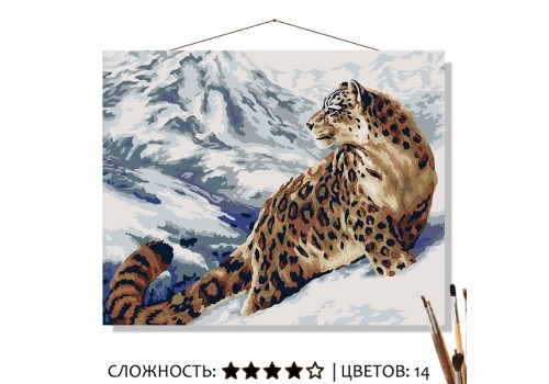 Картина для рисования по номерам на холсте Снежный барс 50х40 см