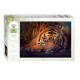 Пазл 1000 элементов "Сибирский тигр" Animal Collection 7+ 79142
