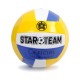 Мяч волейбольный STAR Team PVC IT105836